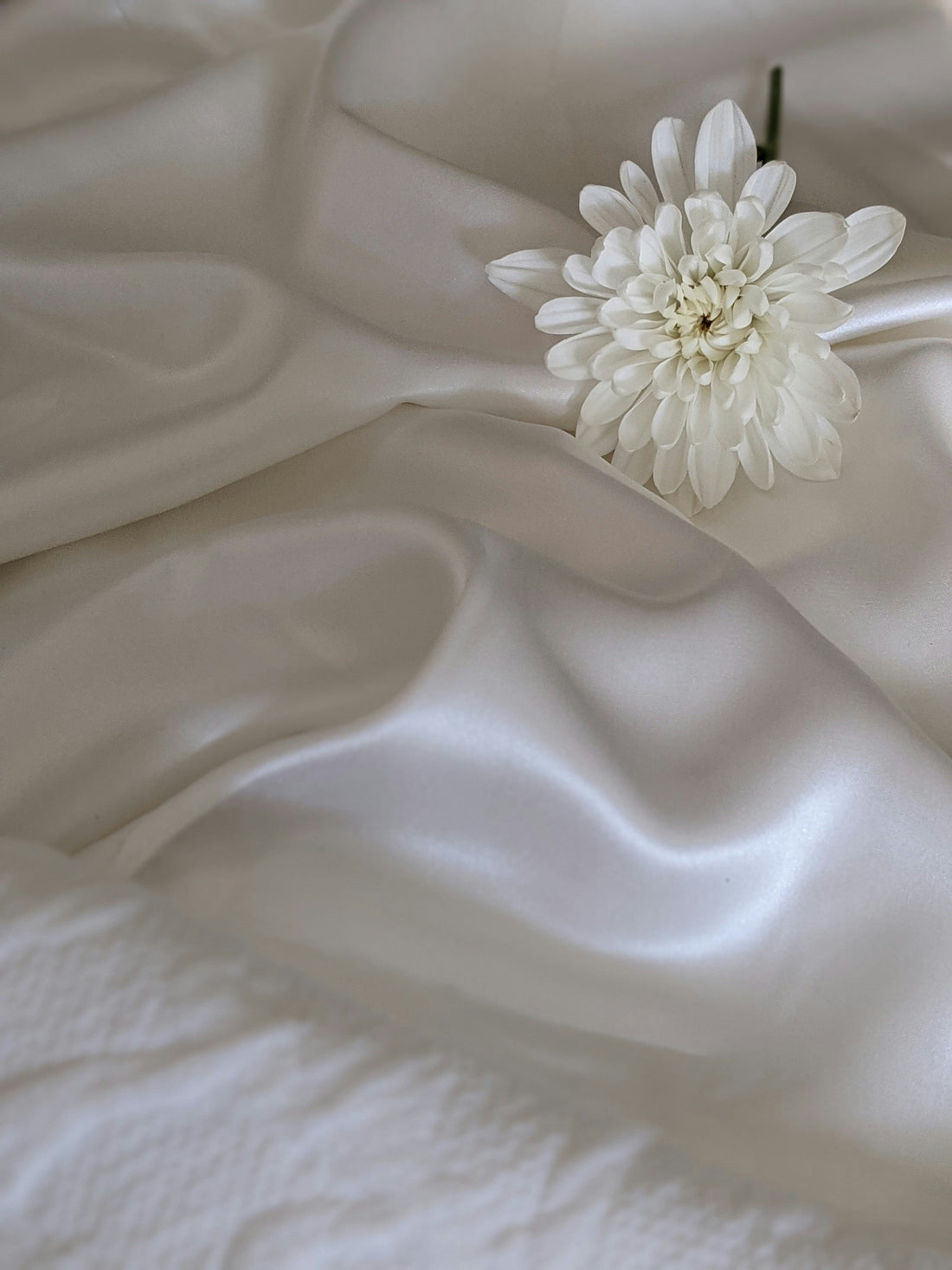 Your Bed: How to get rid of bed bugs-A Cozy Paradise or a Hidden Battlefield? - Bedding Factory&Supplier